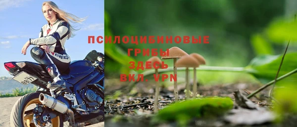 ешки Каменск-Шахтинский