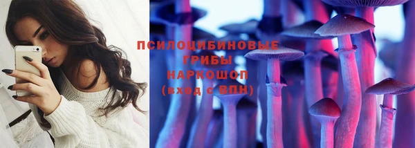 ешки Каменск-Шахтинский