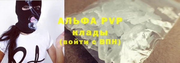 стафф Каменногорск