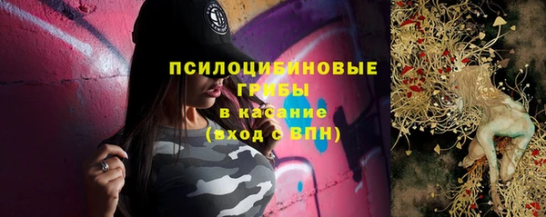стафф Каменногорск
