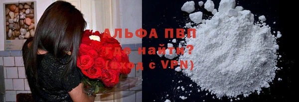 стафф Каменногорск