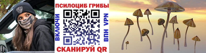 Галлюциногенные грибы Psilocybe  Купить закладки  Ворсма 